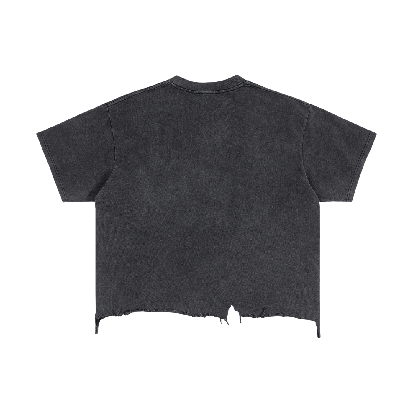 Ripped Servants on Fire Tee
